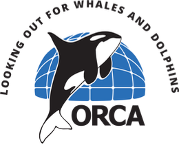 ORCA — Looking out for whales and dolphins